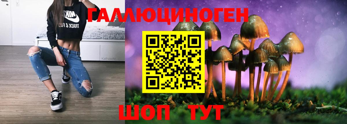 магазин продажи наркотиков  Псилоцибиновые грибы Magic Shrooms  Вход с VPN  Петрозаводск 