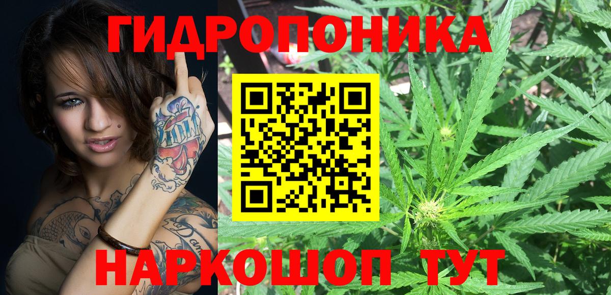 Петрозаводск  Бошки Шишки Ganja  Бошки Шишки Bruce Banner  Вход с VPN  МАРИХУАНА марихуана 